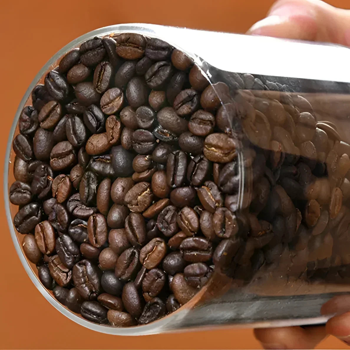 Pote Hermético de Vidro com Vedação a Vácuo para Grãos e Café Lenogue