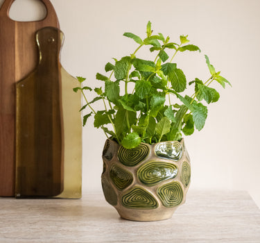 Handmade Flower Pot / Kitchen Utensil Holder Asta Green