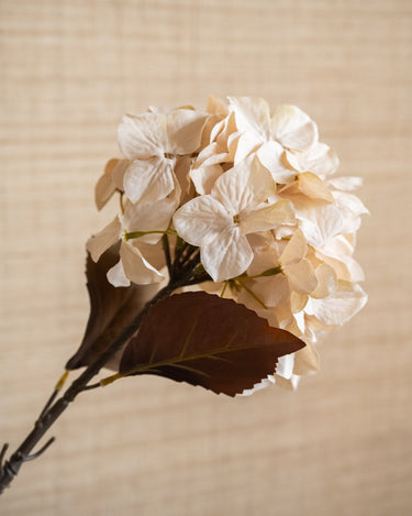 Bloomingville - Faux Flower Hydrangea - Things I Like Things I Love