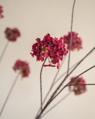 Bloomingville Kunstbloem Hortensia Bordeaux - Things I Like Things I Love