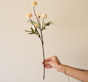 Faux Flower Pompom Beige - Things I Like Things I Love