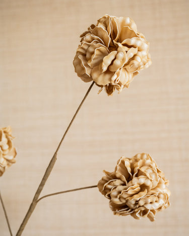 Faux Flower Pompom Eva - Things I Like Things I Love