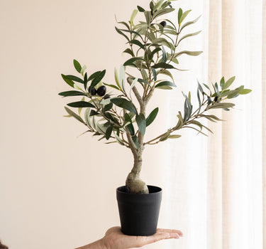 Faux Olive Tree - Things I Like Things I Love