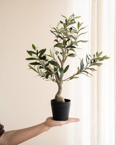 Faux Olive Tree - Things I Like Things I Love