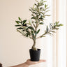 Faux Olive Tree - Things I Like Things I Love