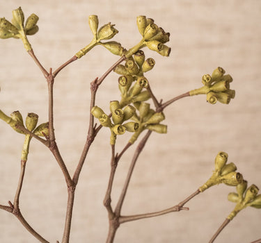 Handgemaakte Kunstbloem Eucalyptus Tak Groen - Things I Like Things I Love
