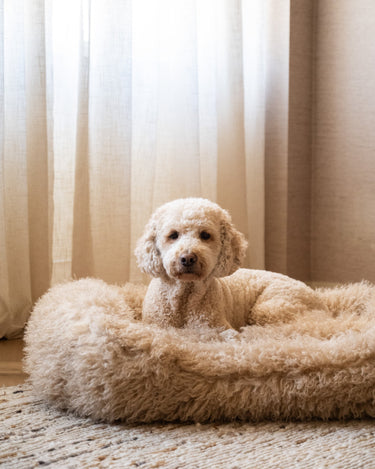 Hondenmand Tibetan Lamb Beige - Things I Like Things I Love