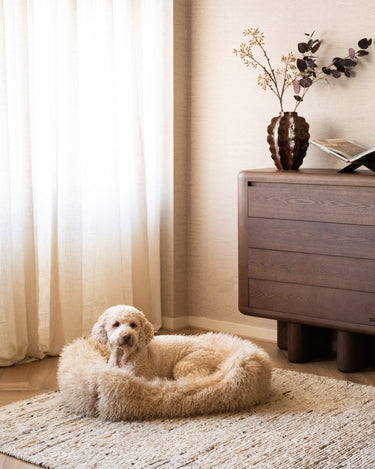 Hondenmand Tibetan Lamb Beige - Things I Like Things I Love