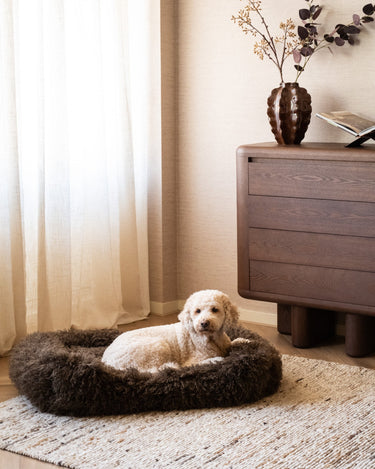 Hondenmand Tibetan Lamb Bruin - Things I Like Things I Love