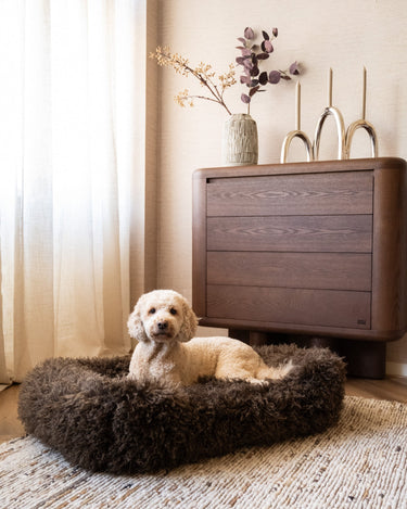 Hondenmand Tibetan Lamb Bruin - Things I Like Things I Love