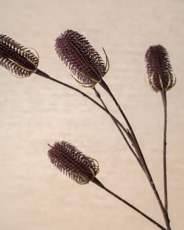 Kunstbloem Distel Aubergine - Things I Like Things I Love