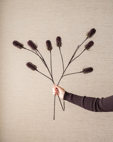 Kunstbloem Distel Aubergine - Things I Like Things I Love