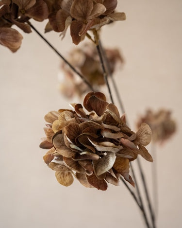 Kunstbloem Hortensia Bruin - Things I Like Things I Love