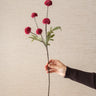 Kunstbloem Pompom Bordeaux - Things I Like Things I Love