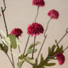 Kunstbloem Pompom Bordeaux - Things I Like Things I Love