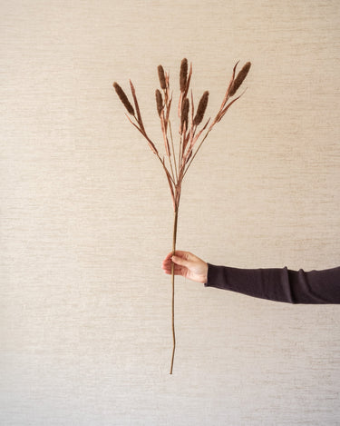 Kunstbloem Typha Bruin - Things I Like Things I Love