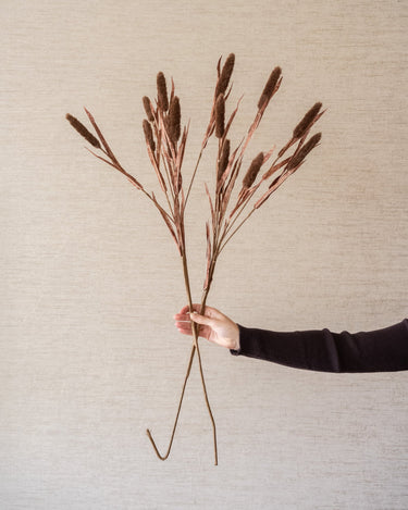 Kunstbloem Typha Bruin - Things I Like Things I Love