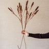 Kunstbloem Typha Bruin - Things I Like Things I Love