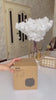 Lixeira de Mesa Luxo Decorativa Lenogue