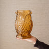 Vaas Uil Glas Amber - Things I Like Things I Love